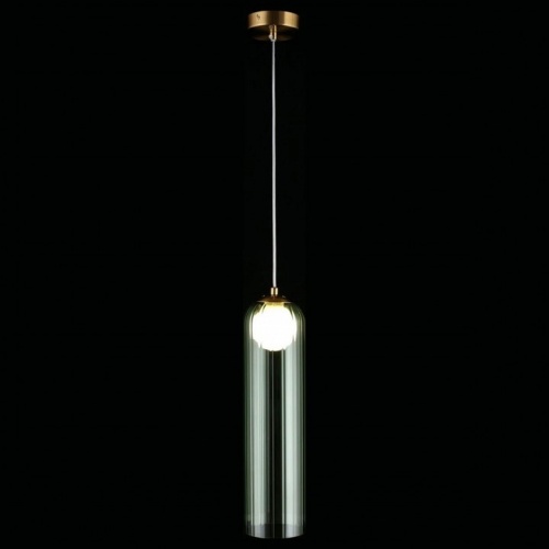 Подвесной светильник Aployt Arian APL.325.36.01 в Ермолино фото 2