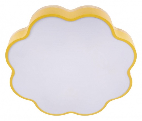 Накладной светильник Loft it Axel 10225/36 Yellow в Нижнем Новгороде фото 6