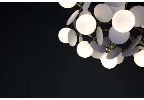 Люстра на штанге Zortes Floret ZRS.01201.12 в Нижнем Новгороде фото 4