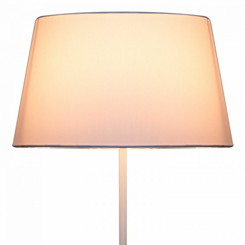 Торшер 03025-0.6-01 WT в Нижнем Новгороде фото 2