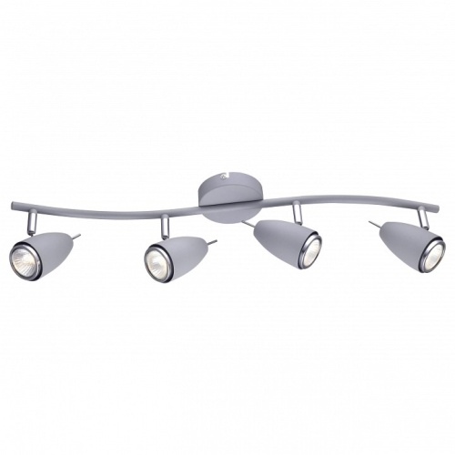 Спот Arte Lamp Regista A1966PL-4GY в Нижнем Новгороде