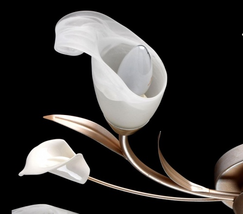 Потолочная люстра MW-Light Восторг 19 242016205 в Нижнем Новгороде фото 2