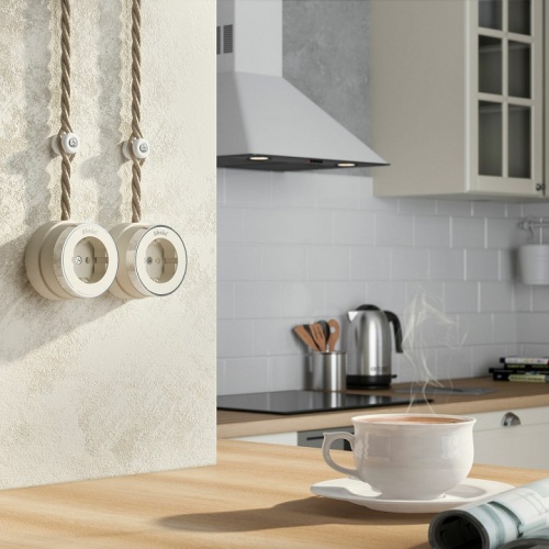 Розетка с заземлением Werkel Vintage (слоновая кость матовый/хром) W5871055 в Нижнем Новгороде фото 2