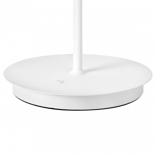 Настольная лампа декоративная Lightstar Grazia 608916 в Нижнем Новгороде фото 4