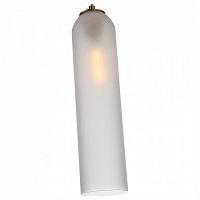 Подвесной светильник ST-Luce Callana SL1145.353.01 в Симе