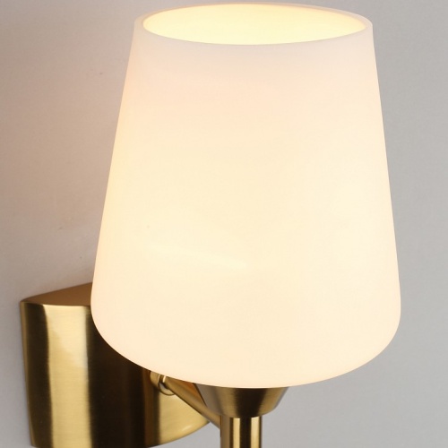 Бра Aployt Lyus APL.840.01.01 в Нижнем Новгороде фото 9