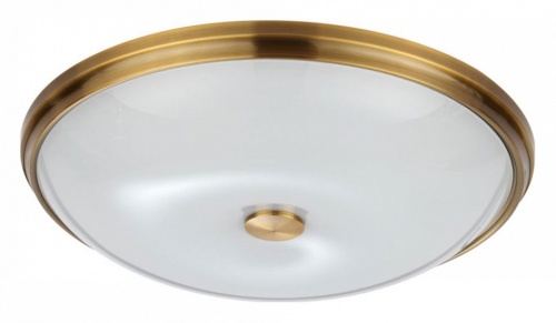 Накладной светильник Odeon Light Pelow 4956/5 в Качканаре