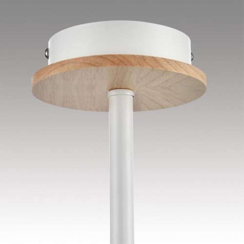 Люстра на штанге Lumion IRMA 8246/5C в Нижнем Новгороде фото 4