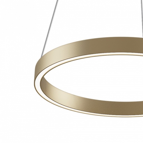 Подвесной светильник Maytoni Rim MOD058PL-L22BSK в Нижнем Новгороде фото 4