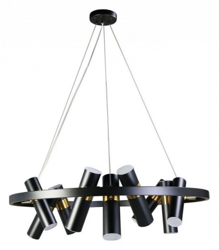 Подвесная люстра Zortes Tweeny ZRS.1828.80 в Нижнем Новгороде фото 2