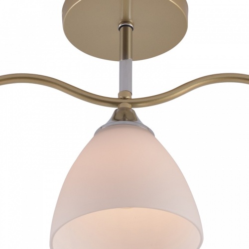 Люстра на штанге 01643-0.3-03 GOLD+CR в Нижнем Новгороде фото 3