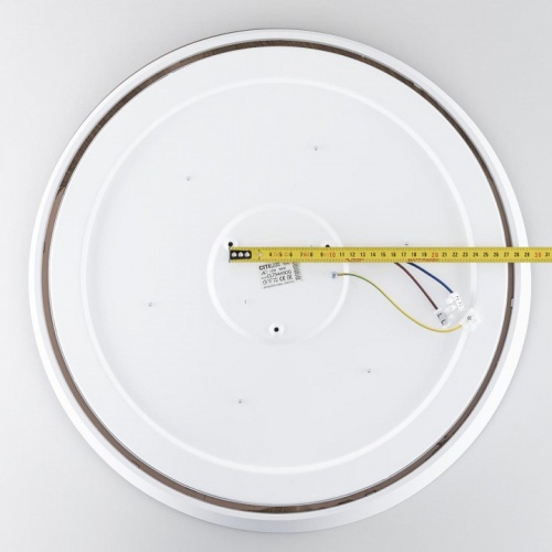 Накладной светильник Citilux BONNY CL754450G в Нижнем Новгороде фото 8