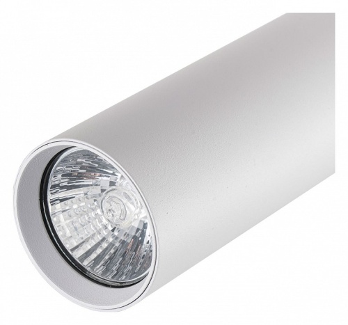 Светильник на штанге Escada 20001 20001TRA/02 SWH в Нижнем Новгороде фото 3