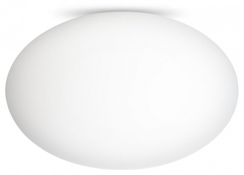 Накладной светильник Citilux RON CL941E28 в Нижнем Новгороде