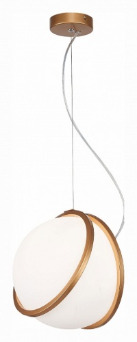 Подвесной светильник ST-Luce Acerra SL1181.353.01 в Нижнем Новгороде фото 2