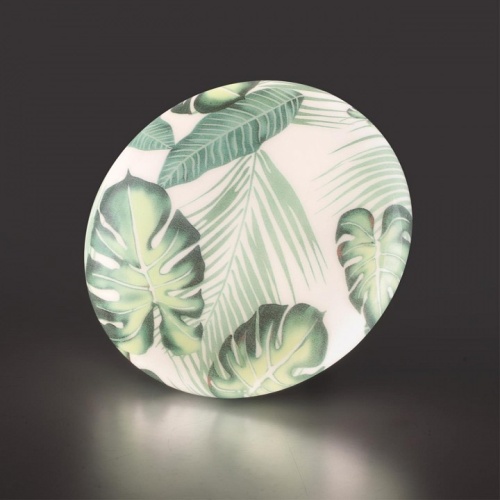 Накладной светильник Sonex Flori 7748/CL в Нижнем Новгороде фото 6