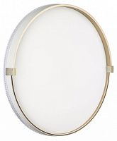 Накладной светильник Sonex Olidi White 7646/DLN в Нижнем Новгороде