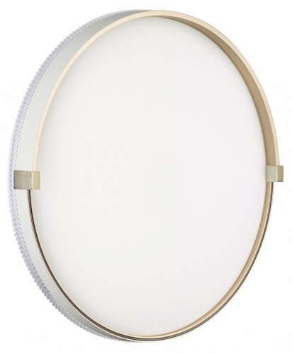 Накладной светильник Sonex Olidi White 7646/DLN в Нижнем Новгороде