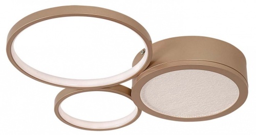 Потолочная люстра F-promo Campus 4681-3C в Нижнем Новгороде фото 7