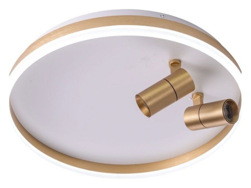 Накладной светильник Zortes Raizy ZRS.1888.02 в Нижнем Новгороде фото 8