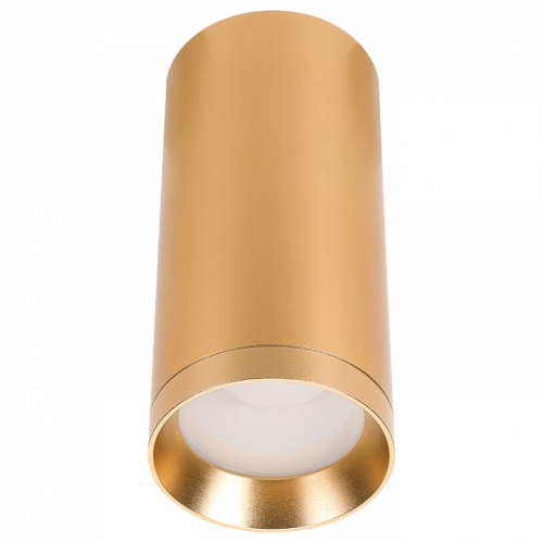 Накладной светильник Lucia Tucci LTP LTP-C005-01GU10-G в Нижнем Новгороде фото 2