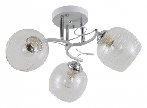 Люстра на штанге Rivoli Estefany Б0054741 в Нижнем Новгороде фото 3