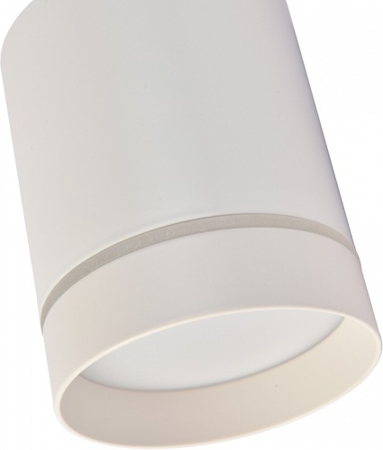 Накладной светильник Favourite Darar 3064-1C в Белово фото 3