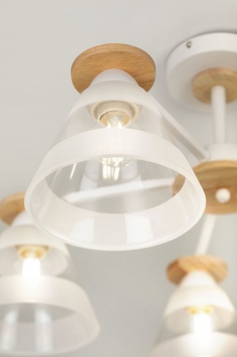 Люстра на штанге Rivoli Theothila Б0068467 в Нижнем Новгороде фото 9