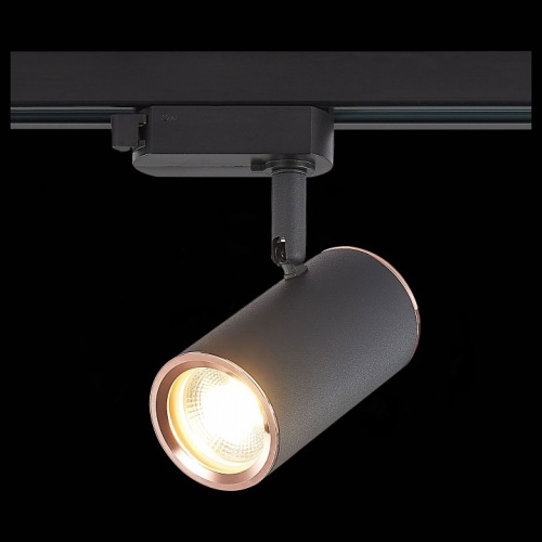 Светильник на штанге ST-Luce Cromi ST301.426.01 в Нижнем Новгороде фото 6