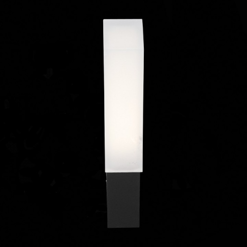 Накладной светильник ST-Luce Posto SL096.411.02 в Йошкар-Оле фото 6