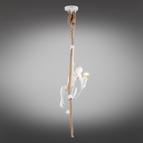 Подвесной светильник Aployt Magali APL.309.06.01 в Нижнем Новгороде фото 3