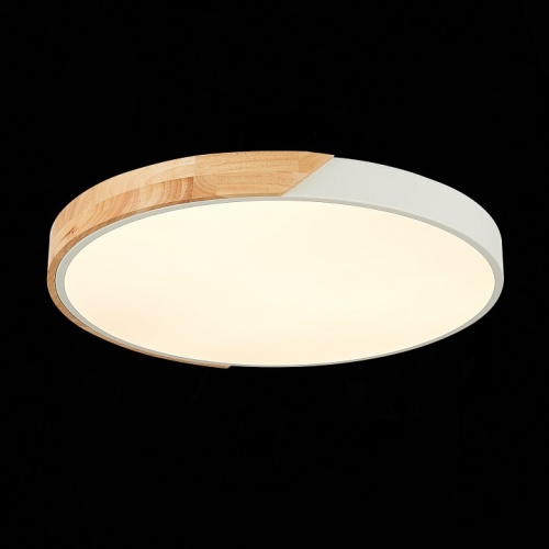 Накладной светильник EVOLUCE Festa SLE200952-01 в Нижнем Новгороде фото 6