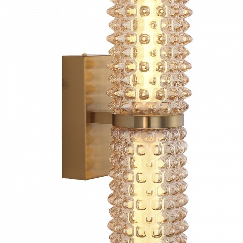 Бра ST-Luce SAGUARO SL6144.301.01 в Нижнем Новгороде фото 2