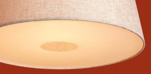 Подвесной светильник Freya Butler FR2057PL-01BG в Нижнем Новгороде фото 9