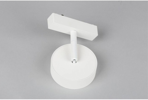 Светильник на штанге Aployt Magnetic track 48 APL.0119.10.09 в Нижнем Новгороде фото 4