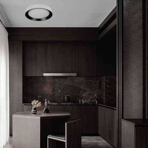 Накладной светильник Loft it Coin 10202 WB в Нижнем Новгороде фото 6