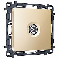 ТВ-розетка оконечная без рамки Ambrella Volt ALFA MA613005 в Нижнем Новгороде