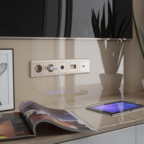 ТВ-розетка без рамки Werkel шампань рифленый W1183010 в Нижнем Новгороде фото 3