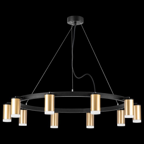 Подвесная люстра Lightstar Rullo LR0204000 в Нижнем Новгороде фото 4