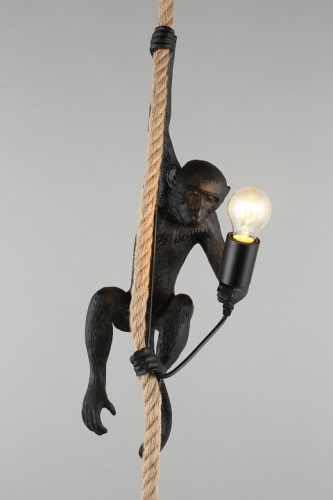 Подвесной светильник Aployt Magali APL.309.16.01 в Нижнем Новгороде фото 2