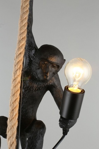 Подвесной светильник Aployt Magali APL.309.16.01 в Нижнем Новгороде фото 17