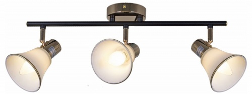 Люстра на штанге  05901-0.8-03 BK+FGD в Нижнем Новгороде