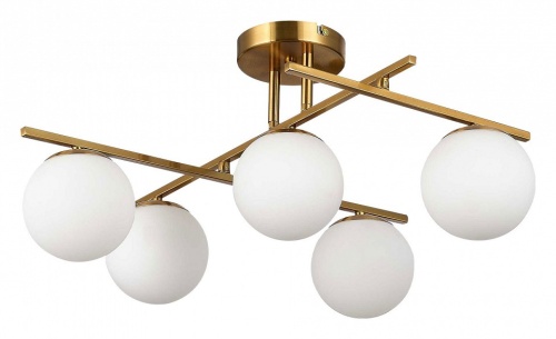 Потолочная люстра EVOLUCE SIERRA SLE1195-302-05 в Нижнем Новгороде