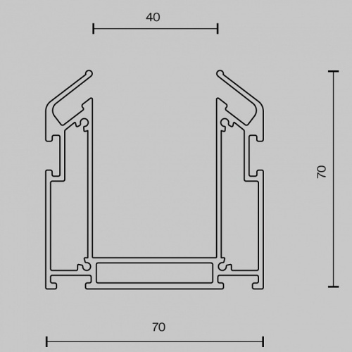 Трек встраиваемый Maytoni Busbar trunkings Gravity TRA010MP-212S в Соколе фото 2