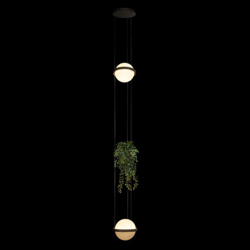 Подвесной светильник Loft it Jardin 10121/2P Dark grey в Нижнем Новгороде фото 5