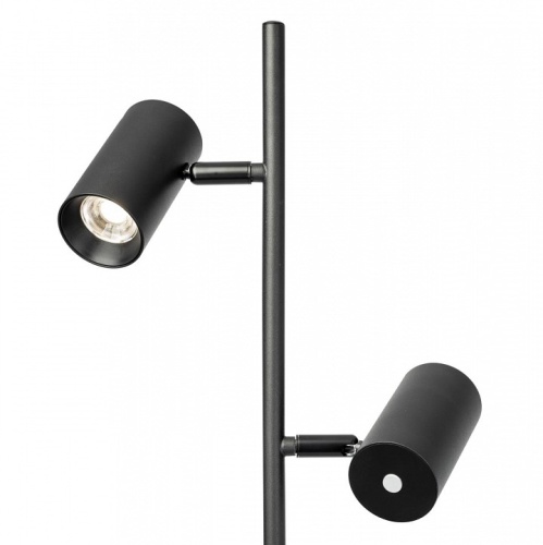 Торшер Citilux Twin CL809011N в Нижнем Новгороде фото 6