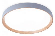 Накладной светильник Ambrella Light FZ FZ1322 в Нижнем Новгороде