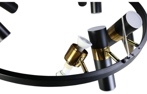 Подвесная люстра Zortes Tweeny ZRS.1828.80 в Нижнем Новгороде фото 5