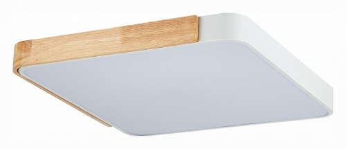 Накладной светильник EVOLUCE Festa SLE201252-01 в Нижнем Новгороде