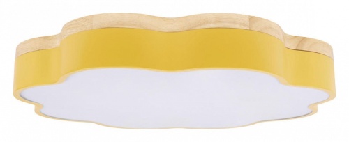 Накладной светильник Loft it Axel 10225/36 Yellow в Нижнем Новгороде фото 7